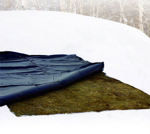 How Deep Does The Ground Freeze (deep, does, ground, freeze) frozen ground being thawed