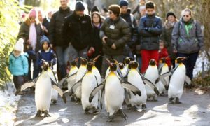 prevent slipping on ice