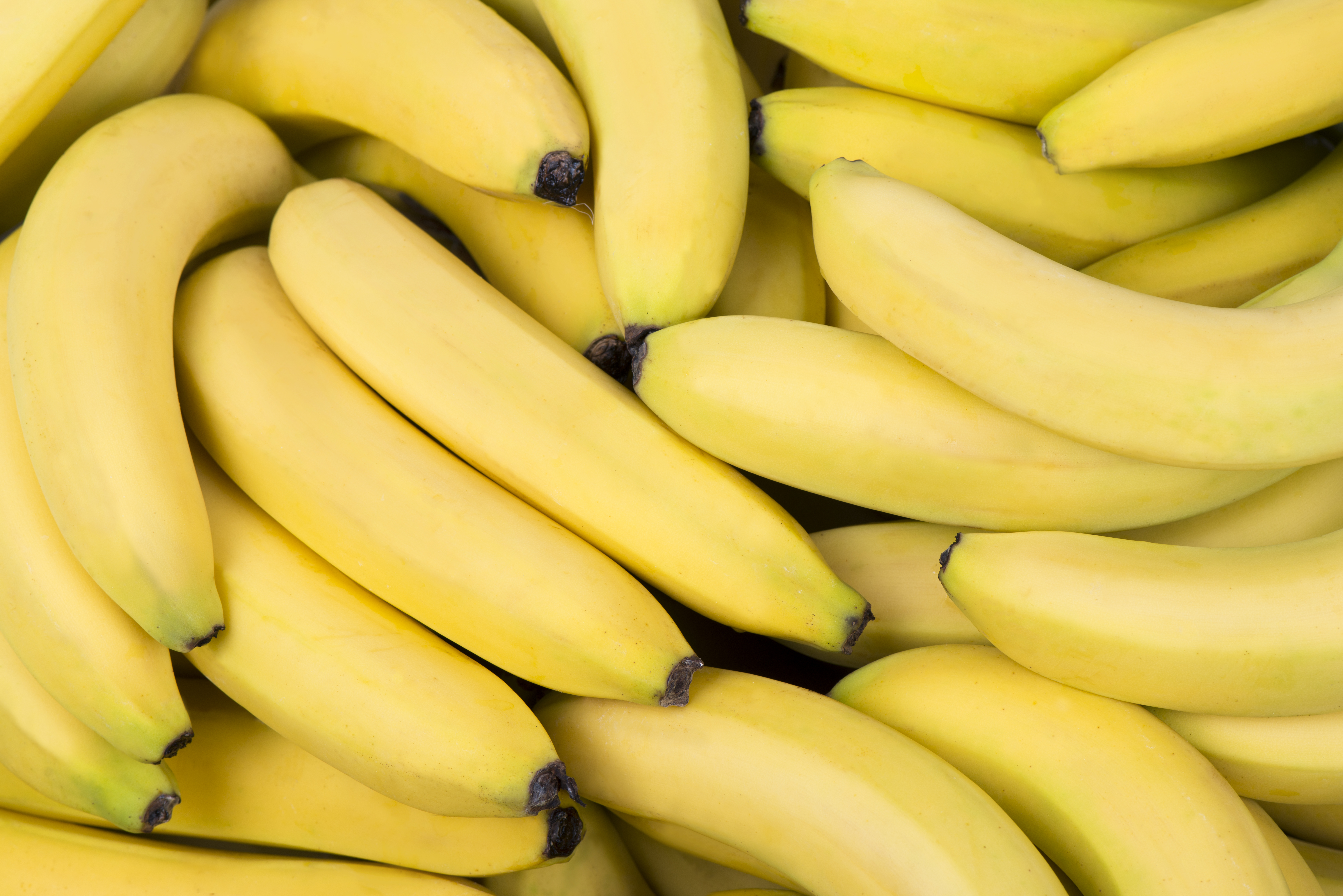 keep perishables cool