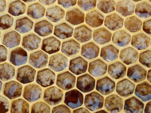crystallized honey
