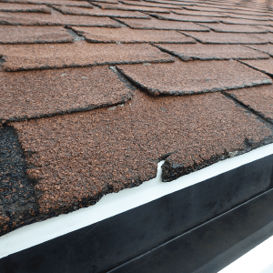 Wind Damaged Shingles