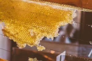 what can honey be used for