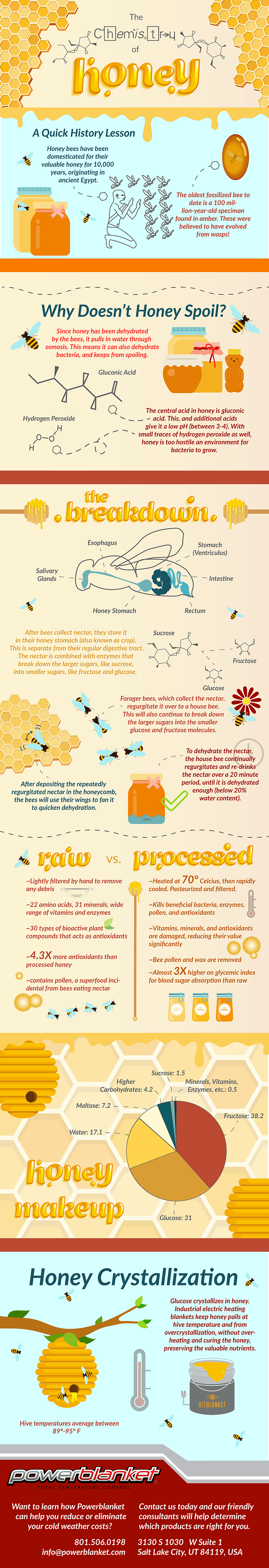 honey chemistry inforgraphic
