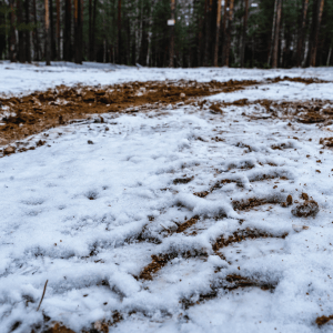 Frozen Ground and the Frost Line: How and Why it Freezes