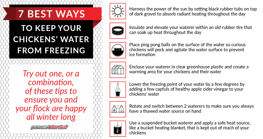 Powerblanket infographic on how to keep your chickens water from freezing