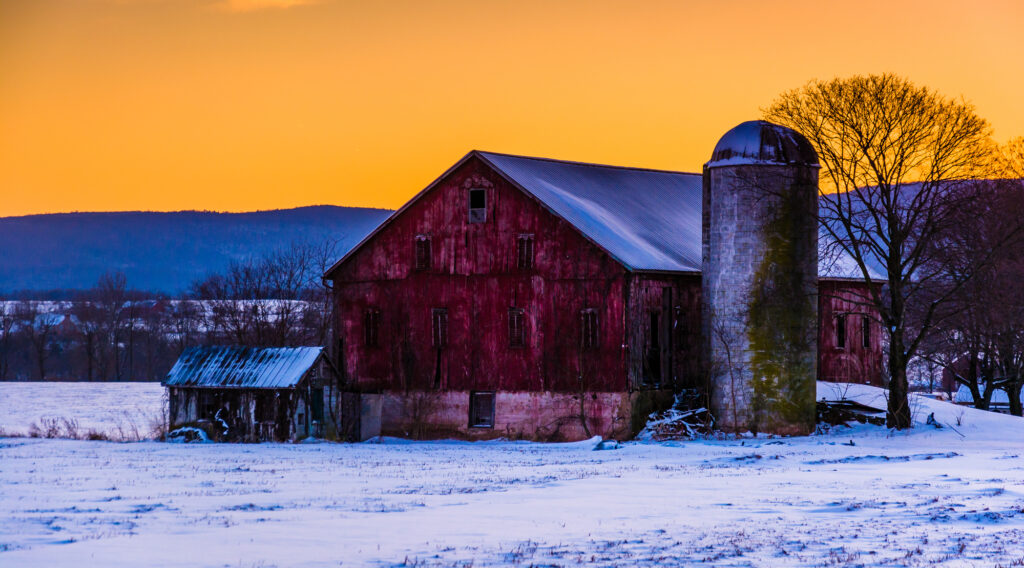 Keeping Your Livestock Water from Freezing The Benefits of Bucket
